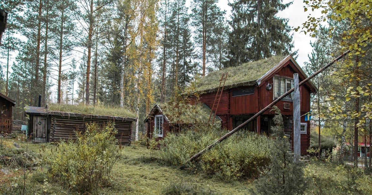 a red house with a grass roof in the woods