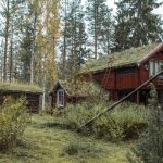 a red house with a grass roof in the woods