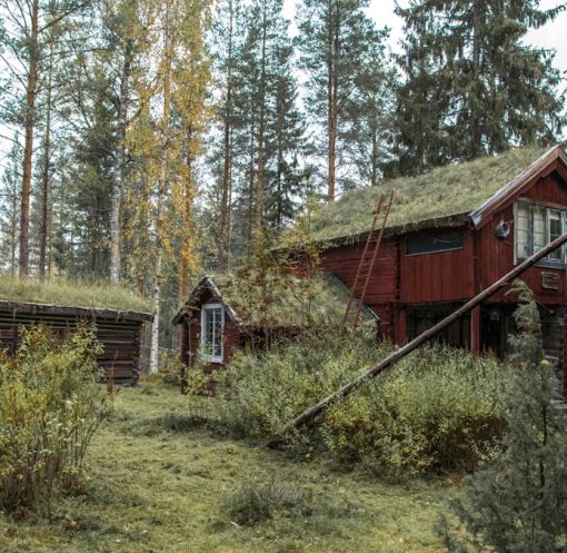 a red house with a grass roof in the woods