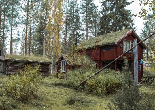 a red house with a grass roof in the woods