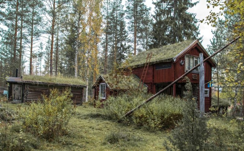 a red house with a grass roof in the woods